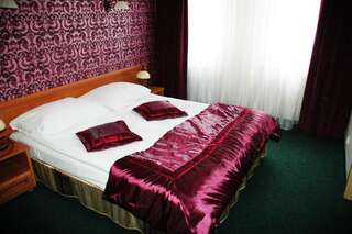 Отель Hotel Knieja Spa&Wellness Супрасль Двухместный номер с 1 кроватью или 2 отдельными кроватями-14