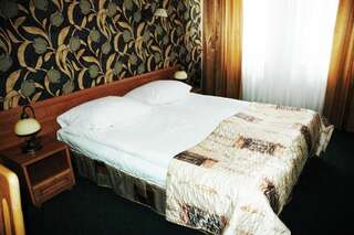 Отель Hotel Knieja Spa&Wellness Супрасль Двухместный номер с 1 кроватью или 2 отдельными кроватями-16